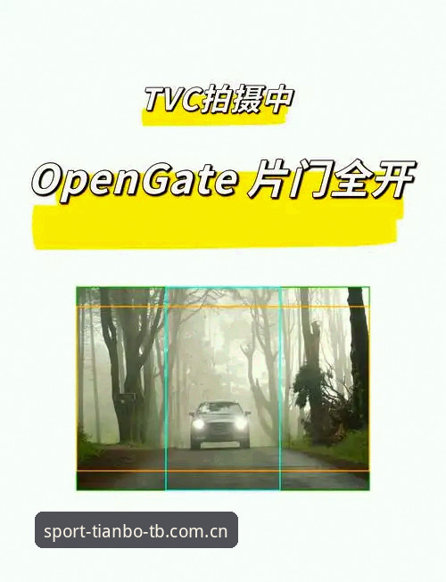 天博官网登录不了 官方通道vs第三方镜像:天博官网登录不了时的选择与区别
